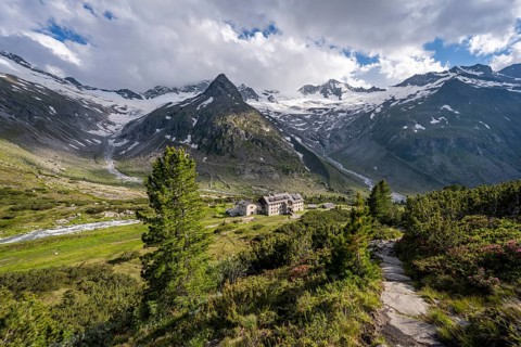 Mountain landscape with hiking trail and alpine roses, mountain hut Berliner Hütte, mountain peak