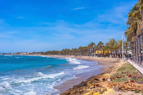 Scenic view of the cami de ronda coastal path with palm trees, beach, and turquoise mediterranean