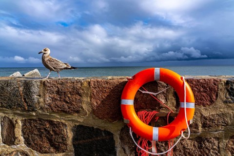 The city harbour of Sassnitz, island of Rügen, pier, harbour dam, dark rain clouds, lifebuoy,