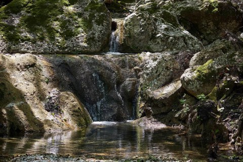 Small waterfall flows over moss-covered rocks in a forest, Butterfly Valley, Butterfly Valley,