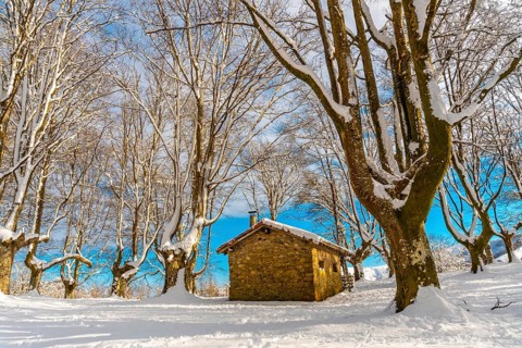 Beautiful refuge among giant trees in the Oianleku natural park in the town of Oiartzun next to