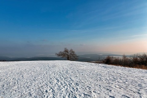 Snow-covered peak, solitary oaks on the horizon, sunny winter weather, Köterberg, Lügde,