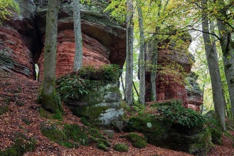 Old castle rock, red sandstone rock formation, natural and cultural monument, Brechenberg near