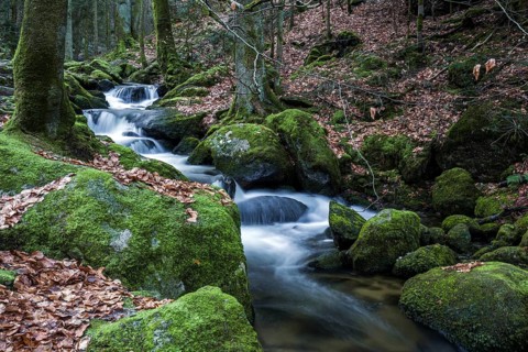 Gertelbach, Gertelbach Waterfalls, Gertelbach Falls, Gertelbach Gorge, Bühl, Bühlertal, Northern
