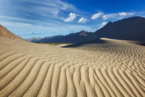 Sand dunes in Nubra valley in Himalayas. Hunder, Nubra valley, Ladakh