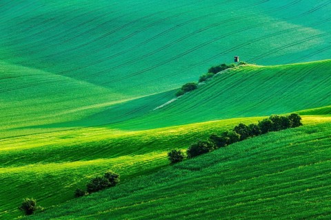 Rural Europe background, Moravian rolling landscape with hunting tower shack on sunset. Moravia,