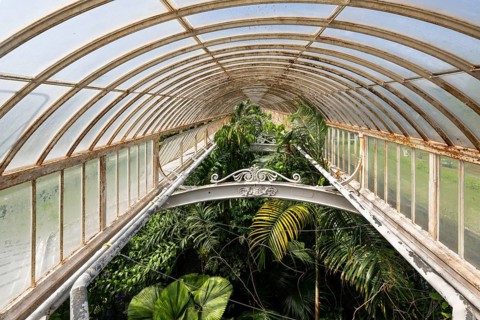 Tropical rainforest, Palm House, oldest Victorian greenhouse in the world, Royal Botanic Gardens,