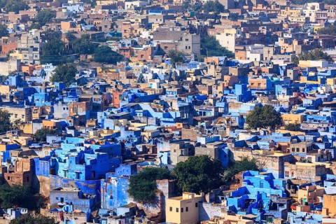 Aerial view of Jodhpur, also known as Blue City due to the vivid blue-painted Brahmin houses around