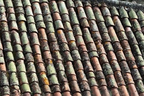Close-up view of terracotta roof tiles showcasing unique textures and colors. The surface exhibits