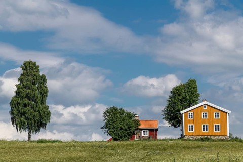 Falun red and Swedish yellow wooden house, meadow, trees, blue sky, clouds, at Lake Mjosa near