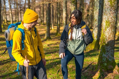 Hikers with backpacks enjoying a sunny day in the forest, chatting and laughing as they explore the