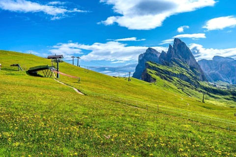 Lush green meadow covered in yellow wildflowers with ski lifts and the majestic peaks of the odle