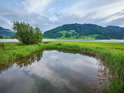 Reservoir, Sihlsee, Euthal, Canton Schwyz, Switzerland, Europe