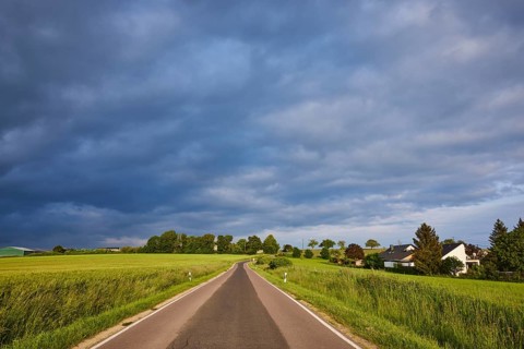 Crop field, trees, landscape, landscape photography, overcast sky, nimbostratus clouds, sunlight,