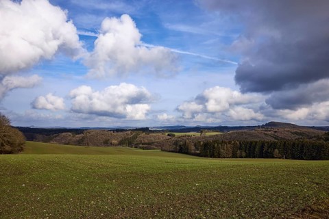 Agriculture, fields, hilly landscape, coniferous forest, landscape, landscape photography, blue