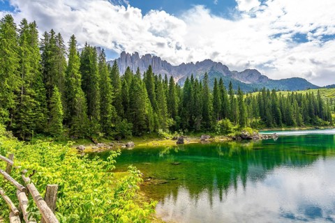 Emerald waters reflecting latemar mountain range and lush forest in the italian dolomites on a