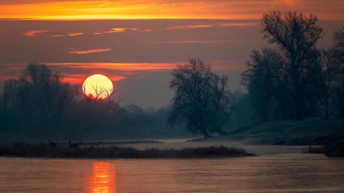 Sunrise on the Middle Elbe, winter landscape in frost, river landscape, fog, reflection of the sun,