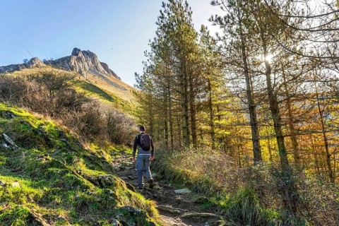 Hiker navigating a forest trail towards the majestic peak of mount txindoki, surrounded by lush