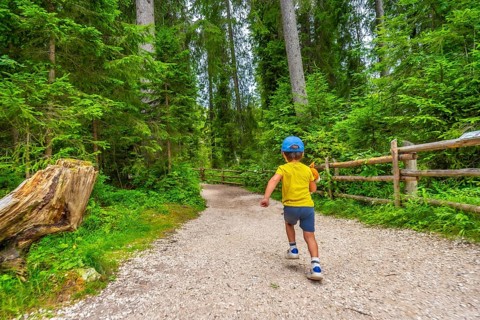 Child running along a gravel path through a lush forest near lake carezza in the italian dolomites,