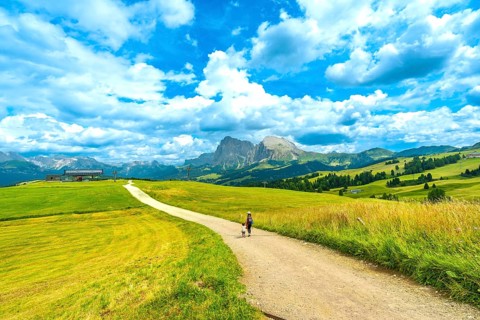 Tourists enjoying a scenic walk on a sunny summer day at alpe di siusi, with the sassolungo