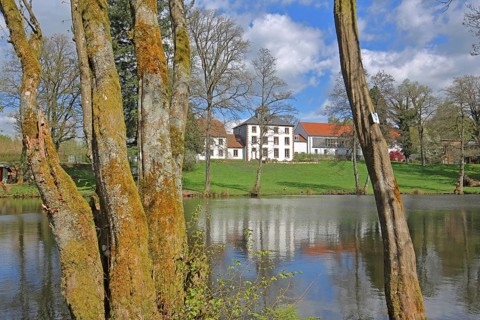 Pond with mossy tree trunks at Hofgut Imsbach, nature, moss, reflection, country inn, idyll,