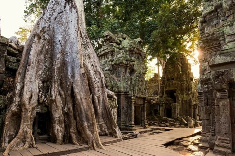 Ta Prohm, Angkor Wat, Angkor, UNESCO World Heritage Site, Siem Reap, Cambodia, Indochina, Southeast