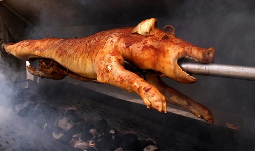 Suckling pig, pork, roasted on a spit, charcoal, Stuttgart, Baden-Württemberg, Germany, Europe