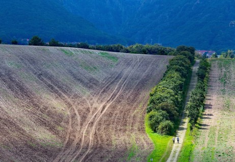 Tractor tracks on a harvested field, walker on a field path Neinstedt, 21/08/2014, Neinstedt,