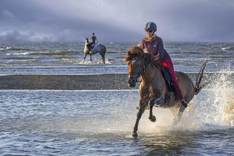 Horsewoman / female horse rider on horseback galloping through water on the beach along the North