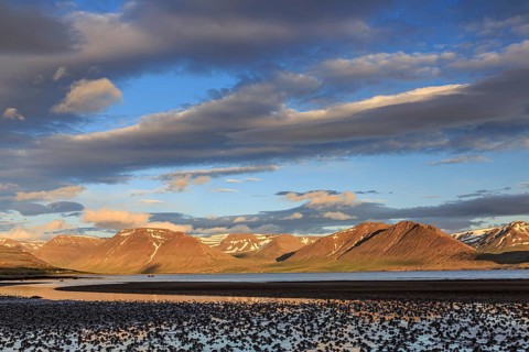 Fjord, low tide, stones, mountains, evening light, cloudy mood, Thingeyri, Westfjords, Iceland,