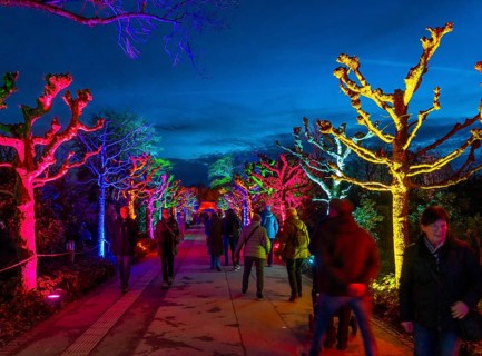 Parkleuchten, event in winter, in the Grugapark in Essen, many different light installations,