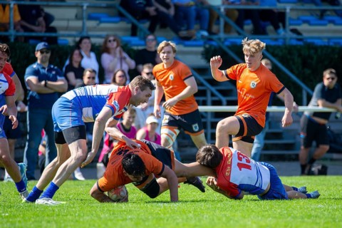 Rugby 1st Bundesliga South/West, Season 2024/25, Matchday 10: RG Heidelberg vs Heidelberger