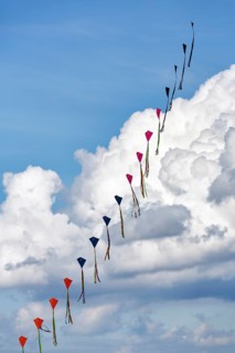Strung kites flying in the sky, garland, kite festival in Vinsebeck, Steinheim, Eggegebirge and