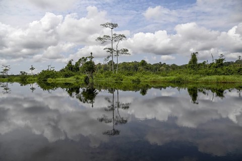 Waterscape on the Akaka River, Loango National Park, Parc National de Loango, Ogooué-Maritime