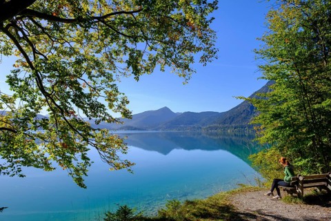Walchensee near Sachenbach, Jachenau, Upper Bavaria, Bavaria, Germany, Europe