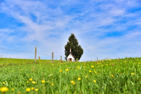 Chapel in the cow pastures near Saulgrub in the blue country, Bavaria, Germany, Europe