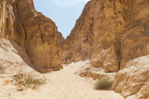 White canyon with yellow rocks, sunny day. Egypt, desert, the Sinai Peninsula, Nuweiba, Dahab