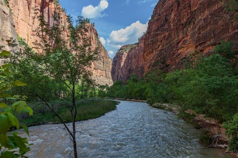 Virgin River runs between sandstone rock formations along the Riverside Walk in the Temple of