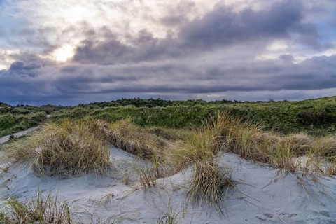 North Sea island of Spiekeroog, East Frisia, Lower Saxony, Germany, dune landscape, in the eastern