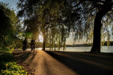 Cycling on Lake Baldeney, around 14 kilometres around the Ruhr reservoir, summer evening on the