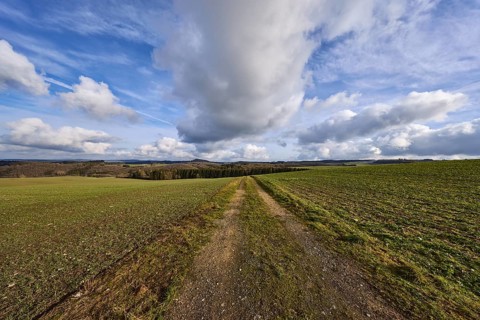 Agriculture, fields, hilly landscape, coniferous forest, landscape, landscape photography, blue