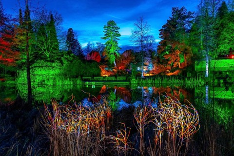 Parkleuchten, event in winter, in the Grugapark in Essen, many different light installations,