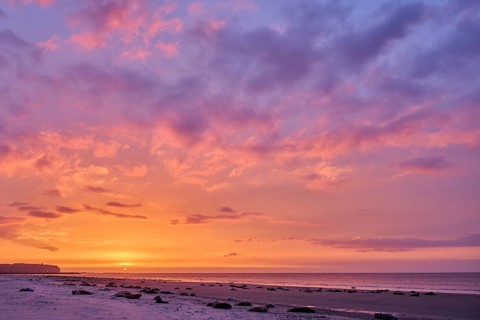 Colorful sunset on the beach with Grey seal (Halichoerus grypus) lying lying on it, Düne,
