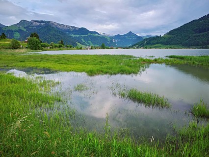 Reservoir, Sihlsee, Euthal, Canton Schwyz, Switzerland, Europe
