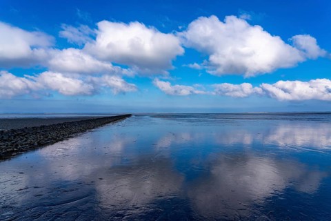 The Wadden Sea, East Frisia, between Bensersiel and Neuharlingersiel, Breakwater behind the dyke,