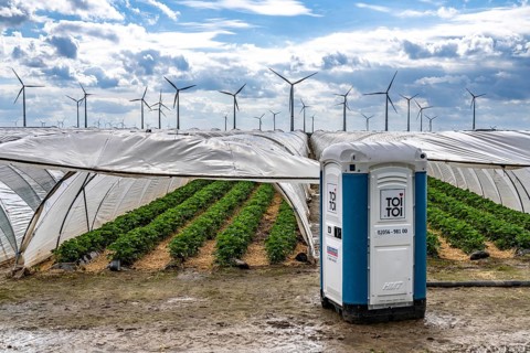 Agriculture, large areas with foil tunnel, for the cultivation of strawberries, wind farm, south of