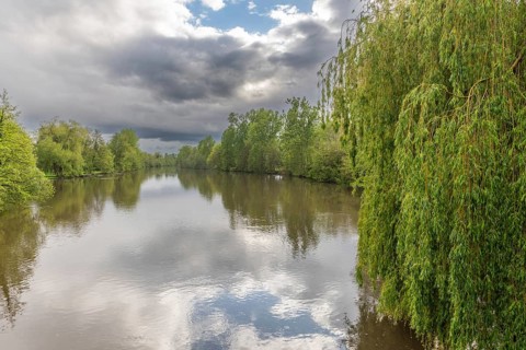 Stormy weather over a tree-lined natural river in spring. L'ill, Hutenheim, Bas Rhin, Alsace,