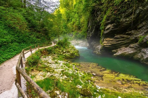 Lush vegetation surrounds a wooden walkway along the stunning emerald radovna river, flowing