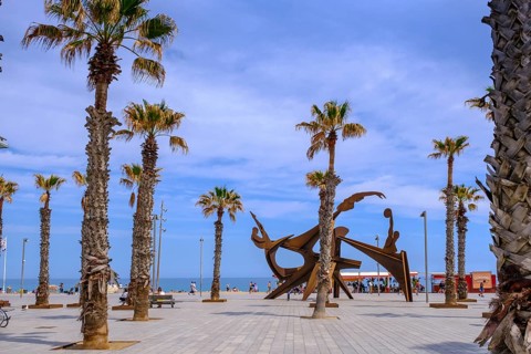 Placa del Mar, Homenatge a la Natació, Barceloneta Beach, Beach, Platja de la Barceloneta,