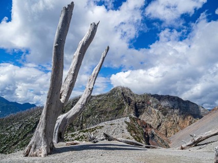 Ash covered slopes of the volcano Chaiten, dead trees of the eruption of 2008, at end of hiking